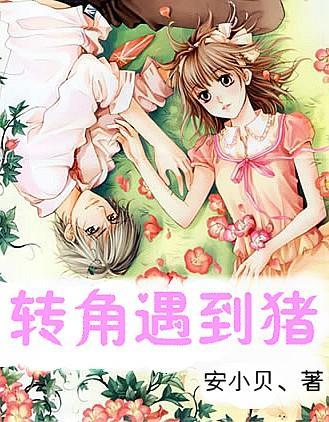 大光圈与超长焦 佳能微单相机新镜头解析